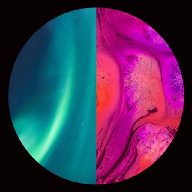 The centered organization